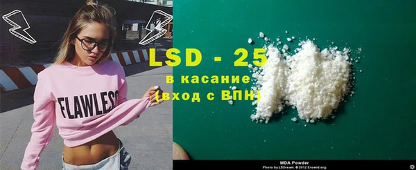 прущие грибы Алзамай