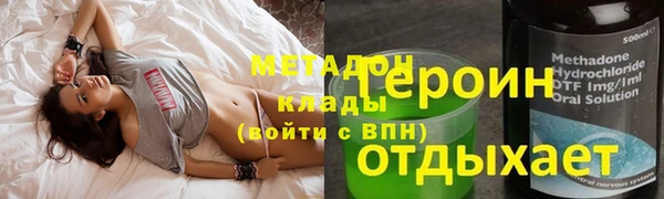 прущие грибы Алзамай
