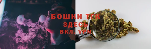 прущие грибы Алзамай
