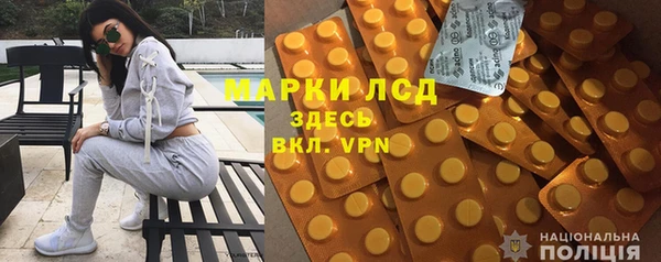 прущие грибы Алзамай