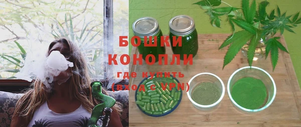 прущие грибы Алзамай