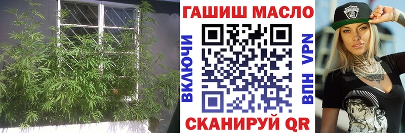 ТГК Wax  цены   Георгиевск 