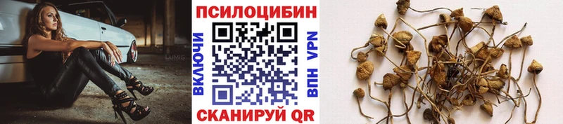 Галлюциногенные грибы мухоморы  kraken как зайти  Георгиевск 